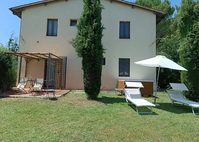Gatto Bianco Tizzauli