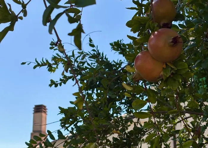 Masseria Marziale