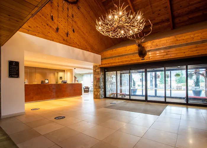 Hôtel pour familles: Forest Park Hotel