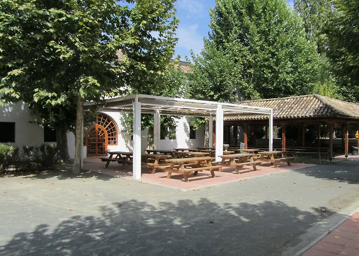  Juvenil