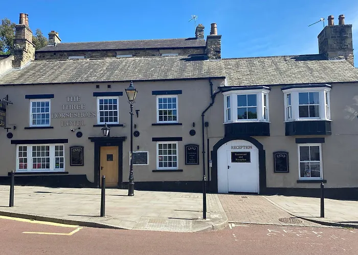 Ping Pong hotel: The Three Horseshoes Hotel
