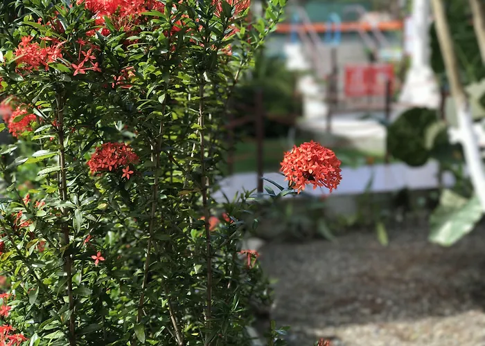 Hotel familiar: Hotel Cabinas el Tecal