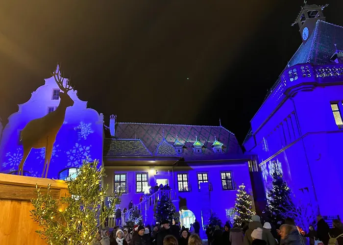 Le Domaine De Pairis