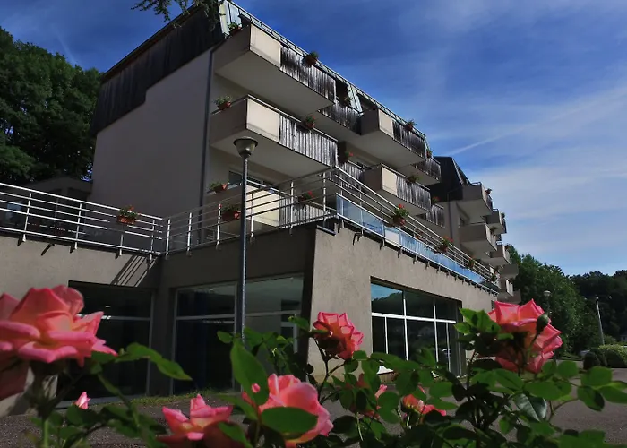 Hôtel accueillant les animaux: Vvf Alsace Orbey Colmar