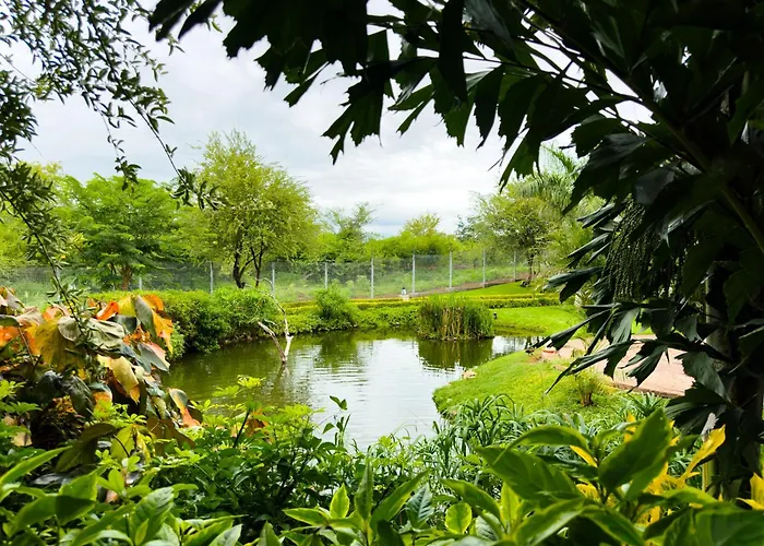 Shearwater'S Explorers Village