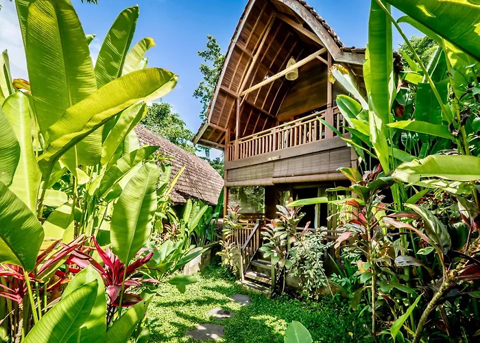The Jungle Villa