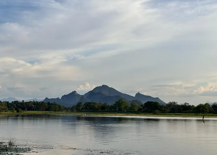 3 star hotels Cottage Sigiriya