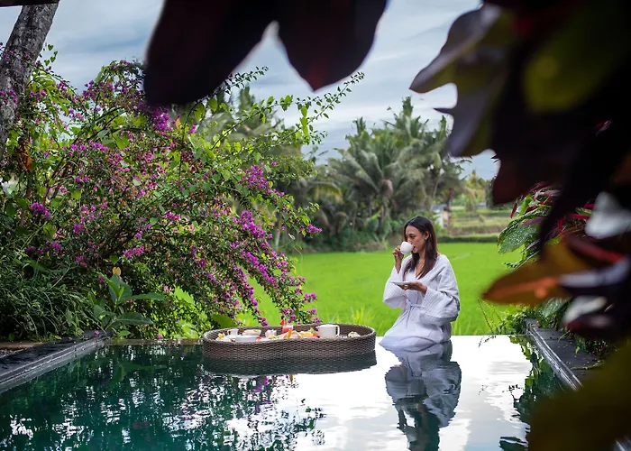  Ubud Padi s