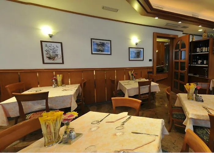 Hotel Vela
