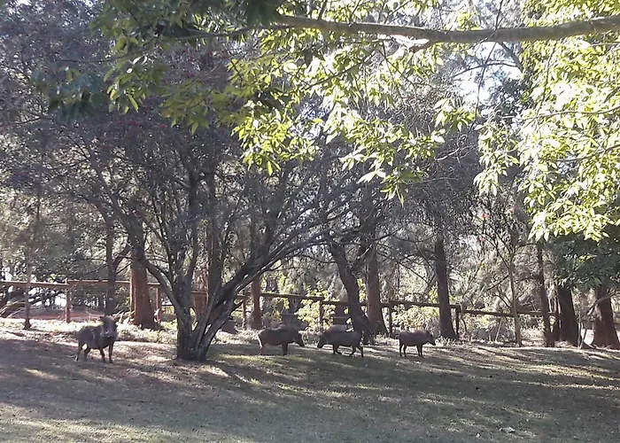 Cheap hotel: Wild Fig Guesthouse