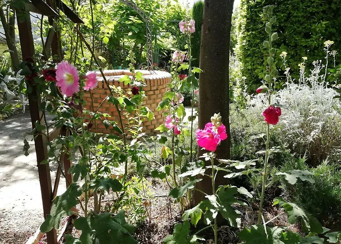 Hotel cerca del colegio: Cortijo Los Abedules